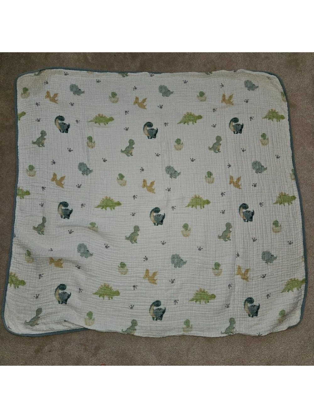 Addison Belle 100% Organic Cotton Muslin Blanket 39x42 Dinosaur Print READ